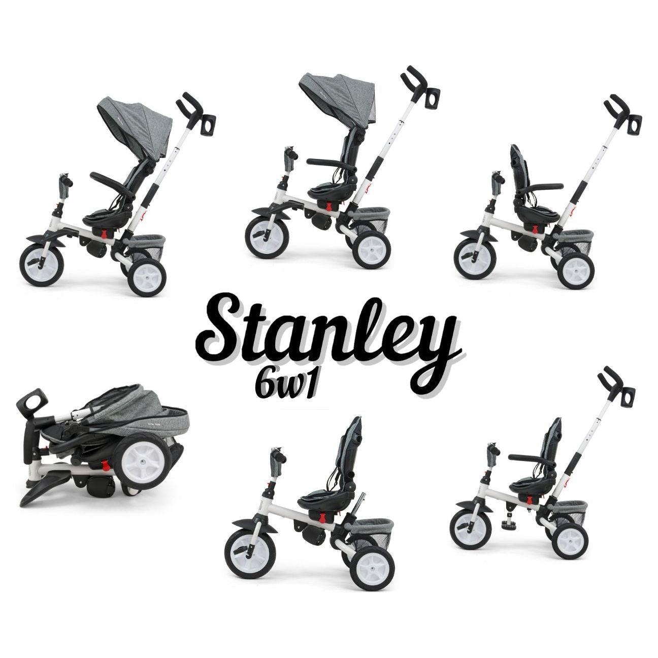 Tricycle Milly Mally 6 en 1 Stanley - Rose 